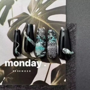 3D Snake Press-On Nails set featuring matte black and python designs