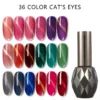 36-color magic cat eye gel polish in gradient salon shades