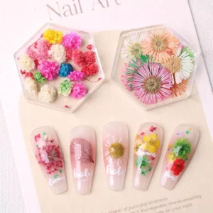 Japanese natural nail charms with daisy-style pressed flowers and DIY samples