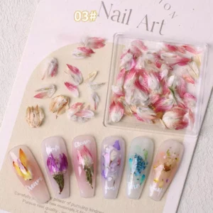Real dried blush pink buds and petals in a clear box with matching nail samples