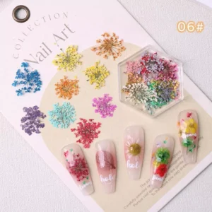 Umbrella-shaped dried flower sprigs in multiple shades
