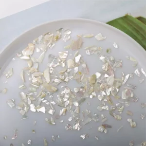 Off-white abalone shell flakes with subtle pastel iridescence
