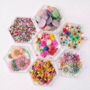 Assorted Japanese dried flower nail charms in clear hexagon trays