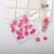 02 - Candy Pink