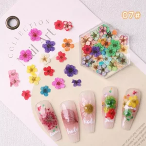 Five-petal pressed dried flowers in mixed vivid colors