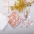 01 - Pink Coral Glow