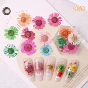 Flat daisy-style dried flowers in rainbow shades for nail decor