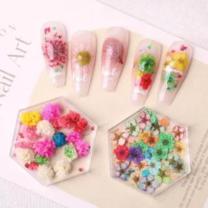 Real pressed flower nails with colorful dried blooms in hexagon trays